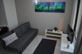 Aurora Haven Rovaniemi Modern DT Apartment -Self Check-In & Free Wifi-